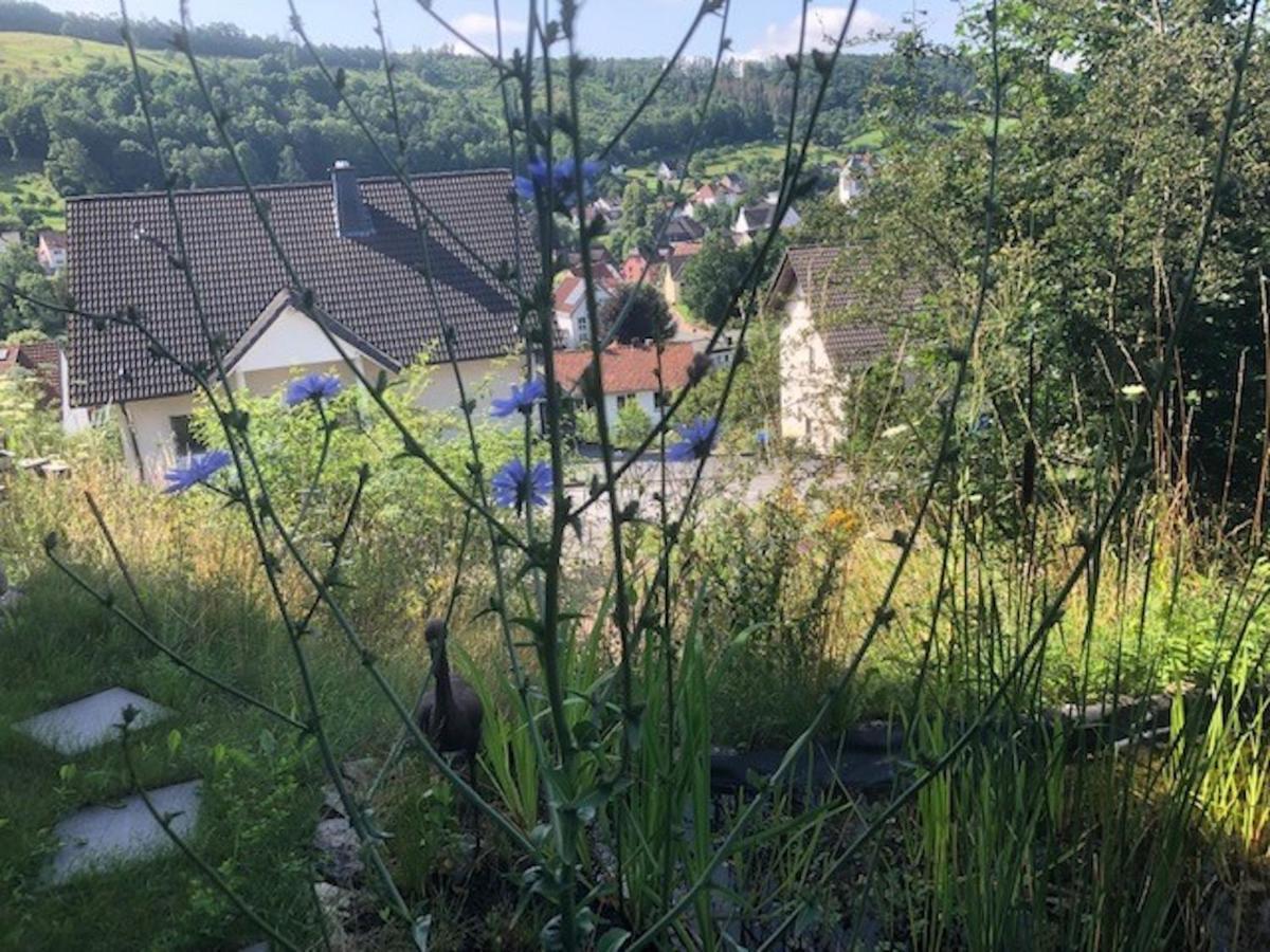 Haus Leenja Beverungen Bagian luar foto
